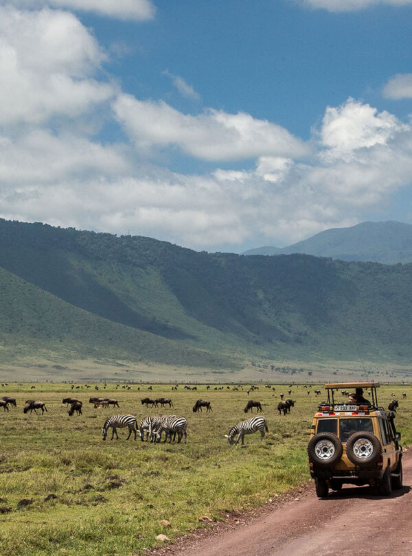 Gibbs-Farm-game-Drive