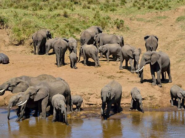 Tarangire National Park